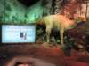 dscn1136_small.jpg